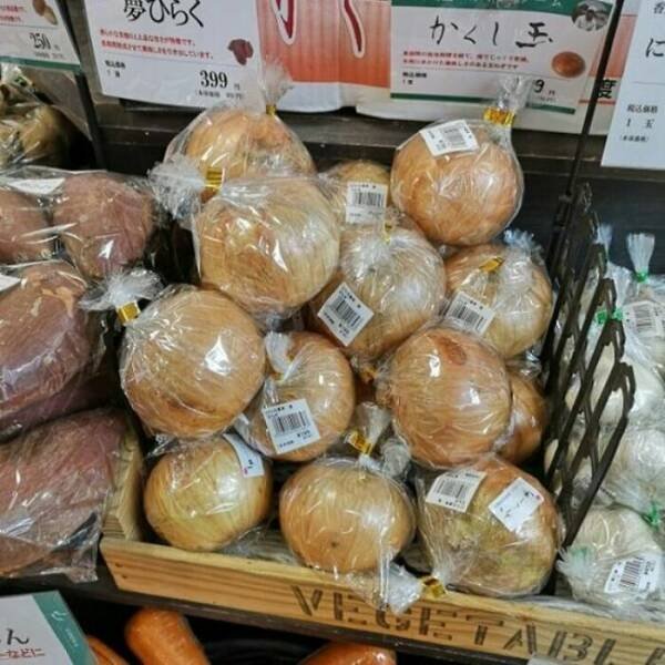 Terrible Overpacking (20 pics)