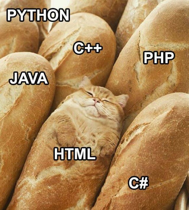 Memes About Computers And Programmers (17 pics)