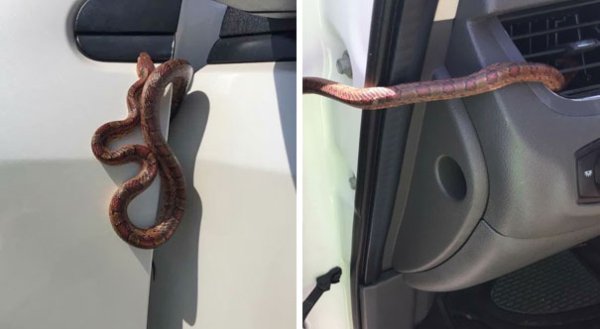Bad Days Happen (17 pics)