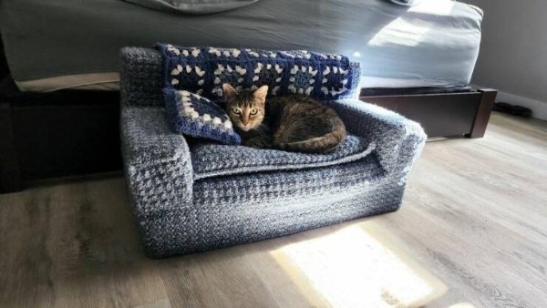 Cute Cats (29 pics)