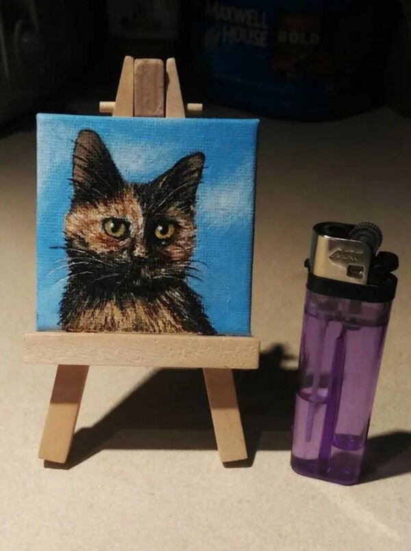 Cute Cats (29 pics)