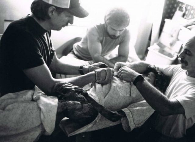 Rare Photos From Filming Of ''A Nightmare On Elm Street'' (28 pics)