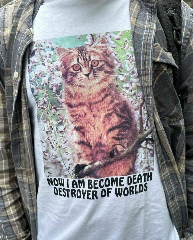 Odd And Funny Signs On T-Shirts (21 pics)