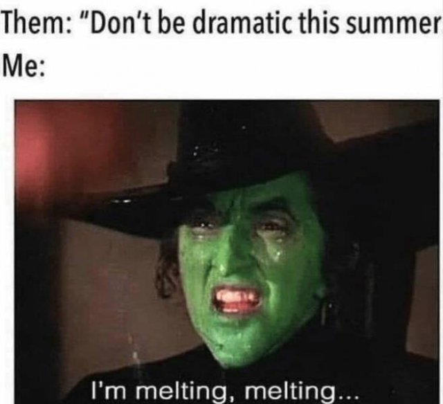 Memes About Hot Summer (26 pics)