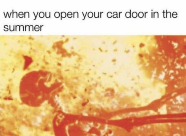 Memes About Hot Summer (26 pics)