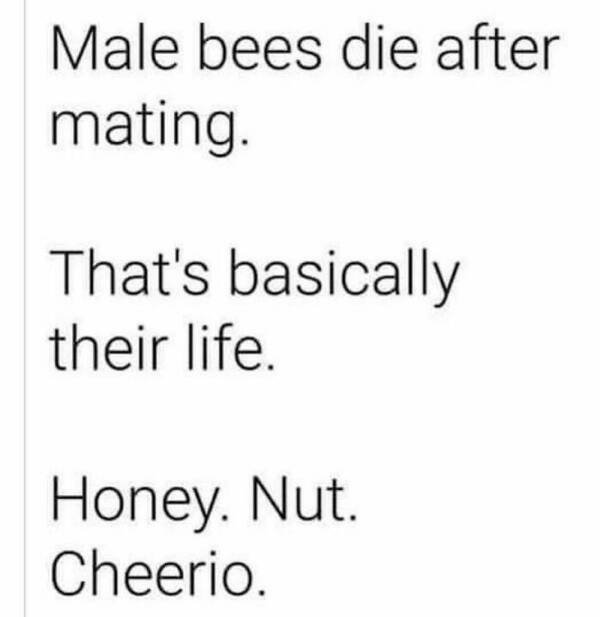 Funny Memes (29 pics)