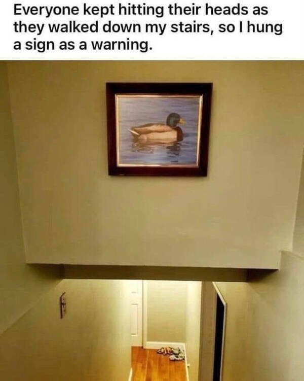 Funny Memes (29 pics)