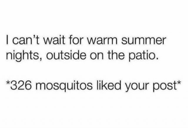 Memes About Hot Summer (26 pics)