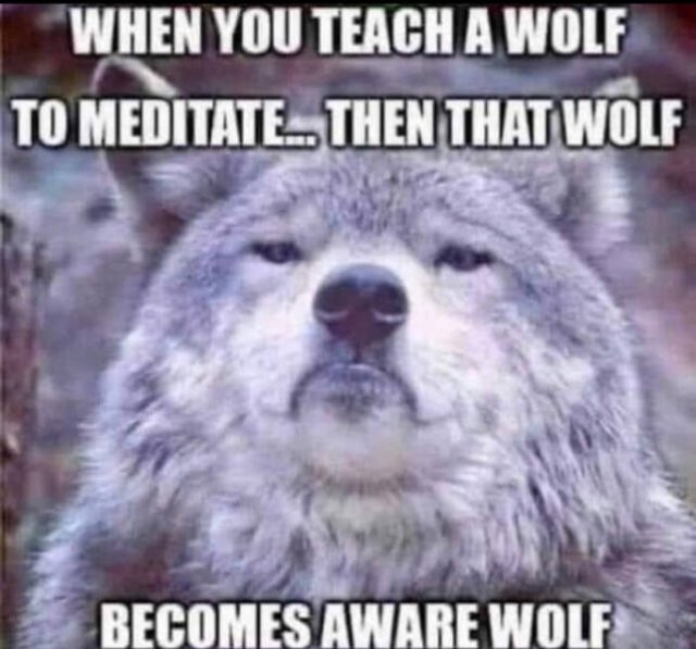 Funny Memes (29 pics)