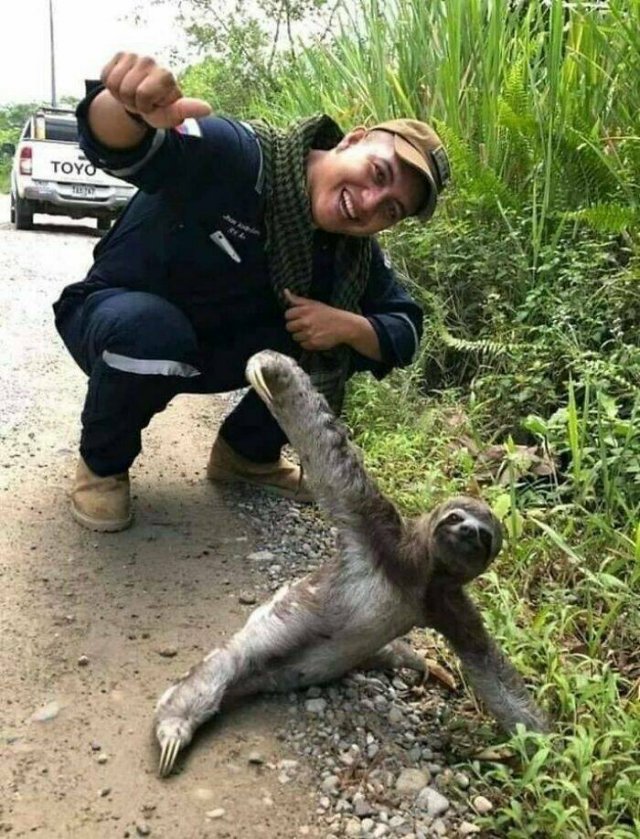 Animals Are Man's Best Friends (48 pics) Animals Are Man's Best Friends (48 pics)