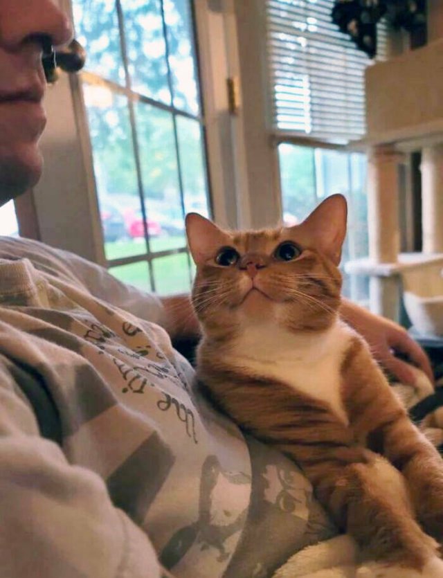 Animals Are Man's Best Friends (48 pics) Animals Are Man's Best Friends (48 pics)