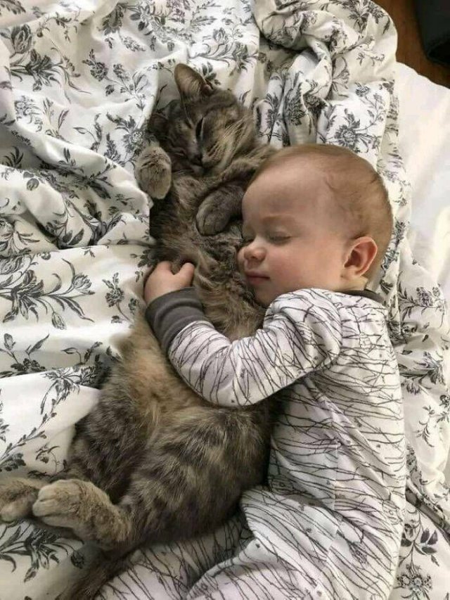 Animals Are Man's Best Friends (48 pics)