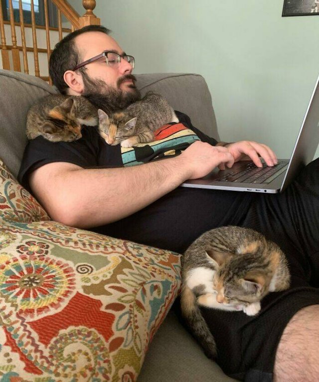 Animals Are Man's Best Friends (48 pics) Animals Are Man's Best Friends (48 pics)