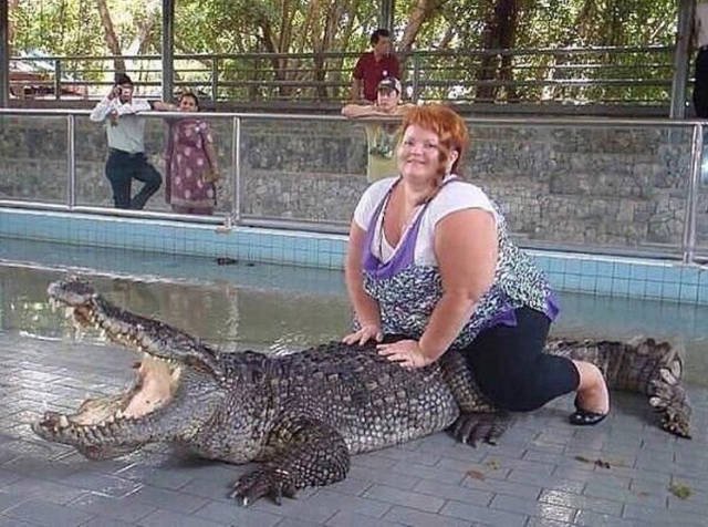 Odd Finds (34 pics)