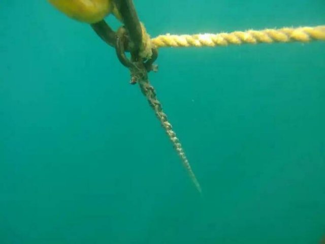 Cool And Creepy Ocean Photos (28 pics)