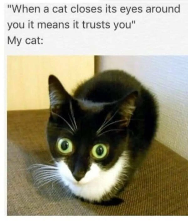 Funny Memes (28 pics)