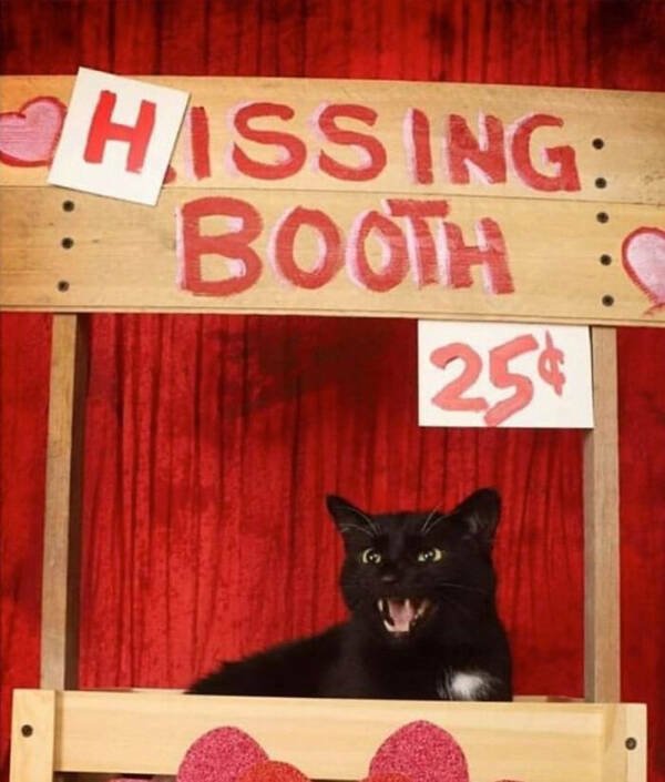 Funny Memes (28 pics)