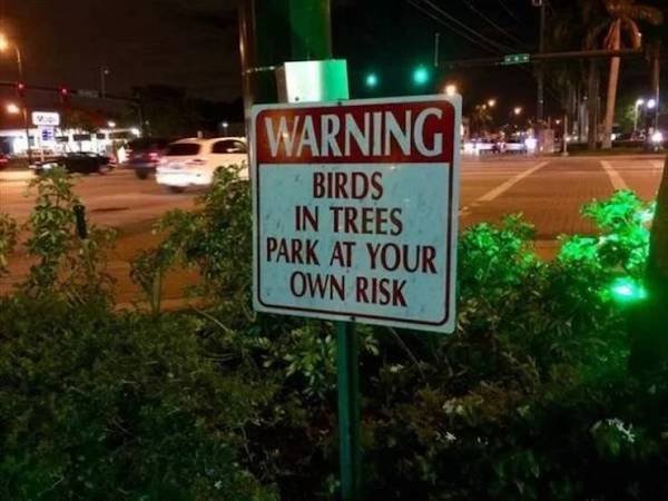 Funny And Unusual Signs (35 pics)