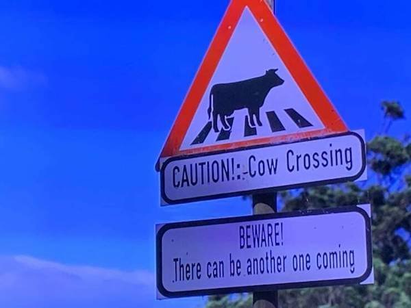 Funny And Unusual Signs (35 pics)