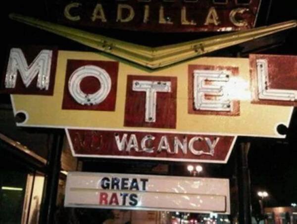 Funny And Unusual Signs (35 pics)
