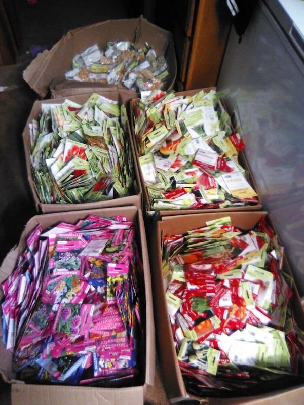 Amazing Free Finds (32 pics)