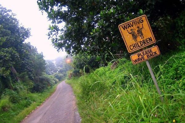 Funny And Unusual Signs (35 pics)