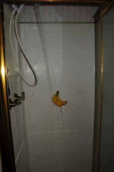 What Is Going On Here? (50 pics)