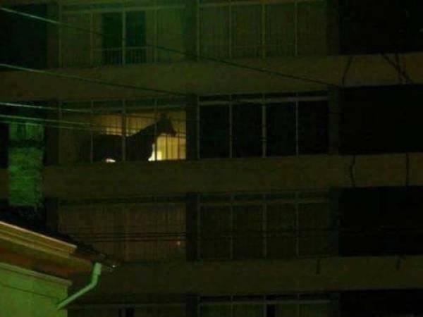 What Is Going On Here? (50 pics)