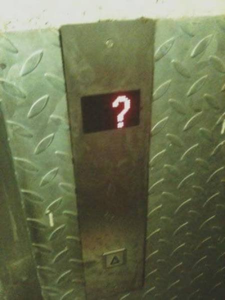 What Is Going On Here? (50 pics)