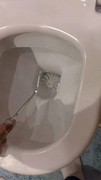 What Is Going On Here? (50 pics)