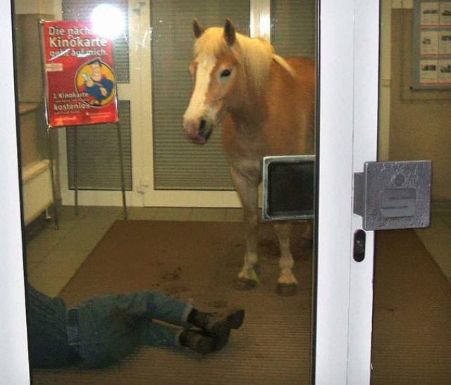 What Is Going On Here? (50 pics)
