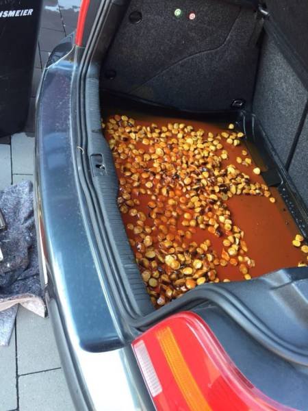 What Is Going On Here? (50 pics)