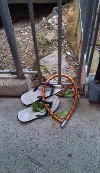 What Is Going On Here? (50 pics)