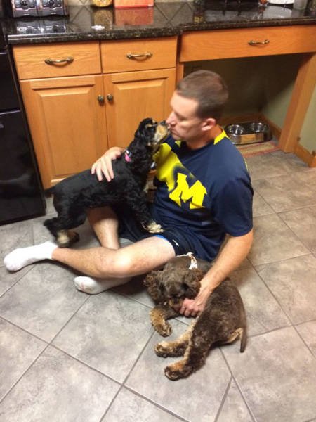They Don't Wants Dogs (19 pics) They Don't Wants Dogs (19 pics)