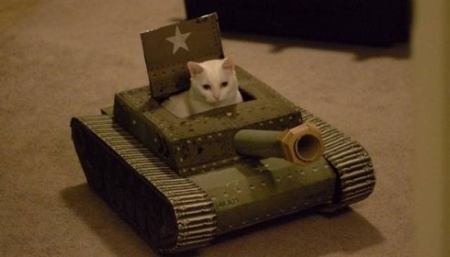 Funny Animals (39 pics)