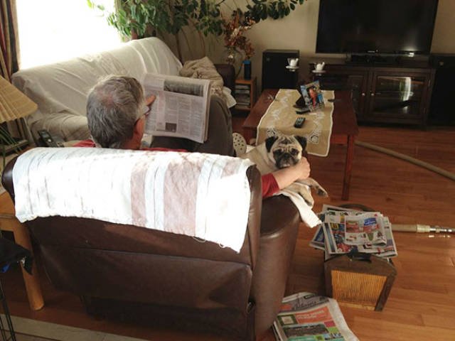 They Don't Wants Dogs (19 pics) They Don't Wants Dogs (19 pics)