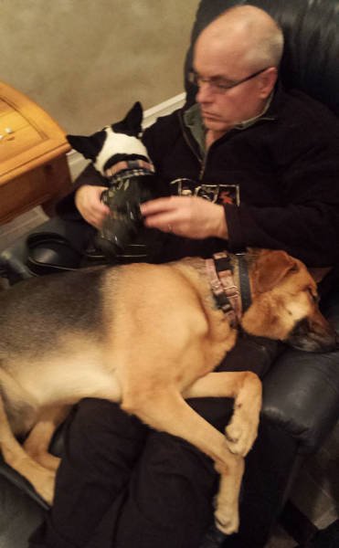 They Don't Wants Dogs (19 pics) They Don't Wants Dogs (19 pics)