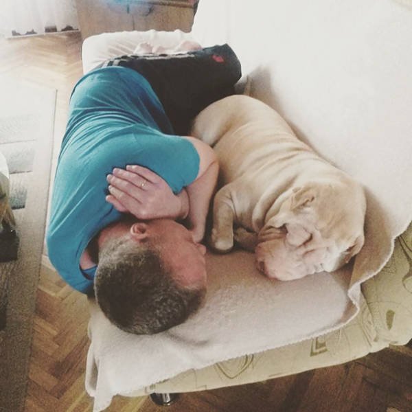 They Don't Wants Dogs (19 pics) They Don't Wants Dogs (19 pics)