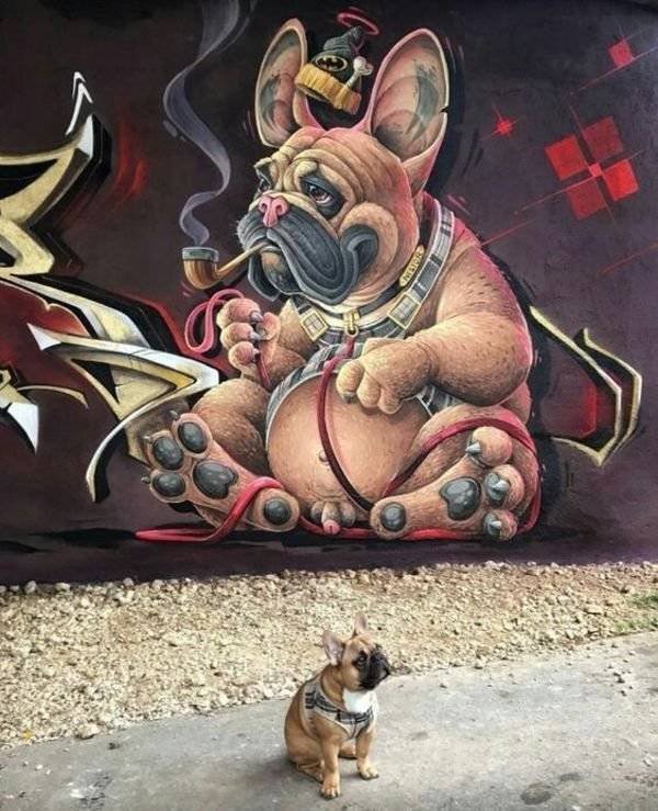 Funny Animals (39 pics)