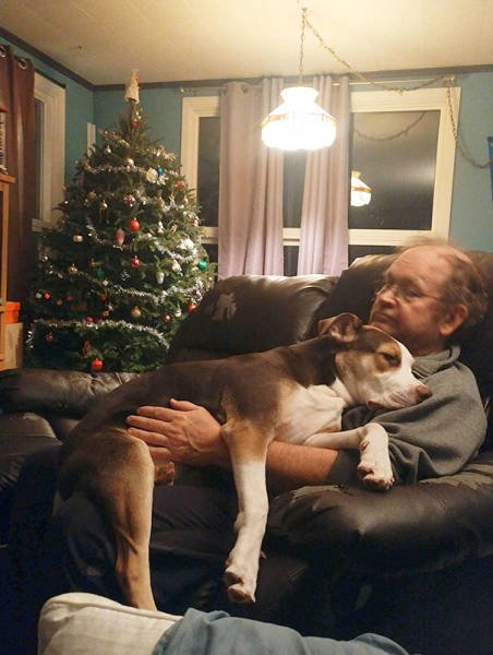 They Don't Wants Dogs (19 pics) They Don't Wants Dogs (19 pics)