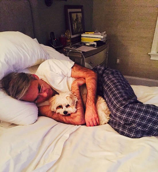 They Don't Wants Dogs (19 pics) They Don't Wants Dogs (19 pics)