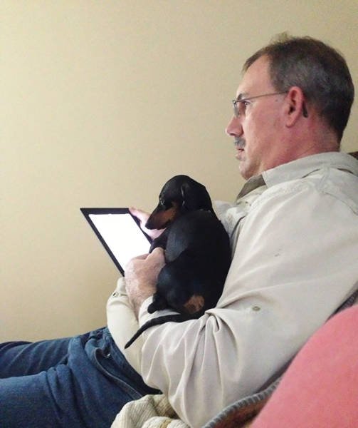 They Don't Wants Dogs (19 pics) They Don't Wants Dogs (19 pics)