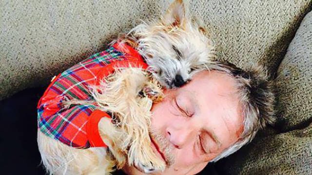 They Don't Wants Dogs (19 pics) They Don't Wants Dogs (19 pics)