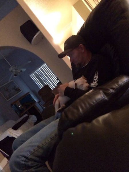 They Don't Wants Dogs (19 pics) They Don't Wants Dogs (19 pics)