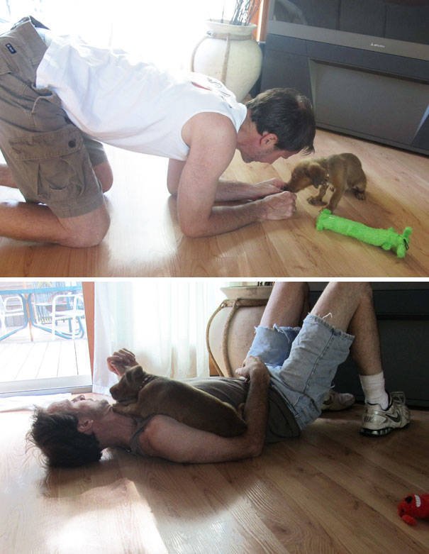 They Don't Wants Dogs (19 pics)