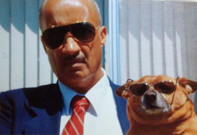 They Don't Wants Dogs (19 pics) They Don't Wants Dogs (19 pics)