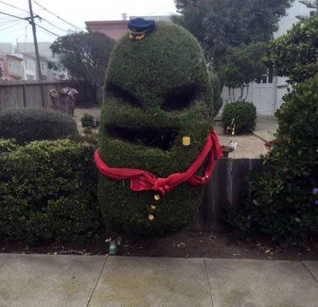 What Is Going On Here? (43 pics)