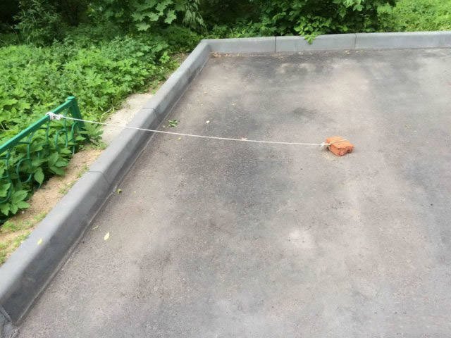 What Is Going On Here? (43 pics)