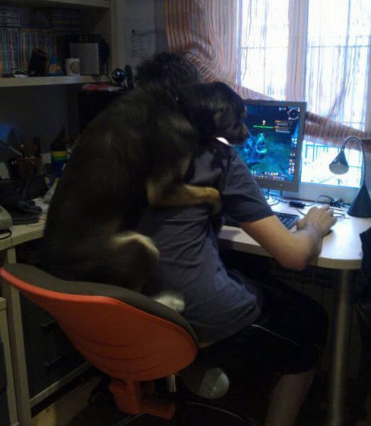 What Is Going On Here? (43 pics)