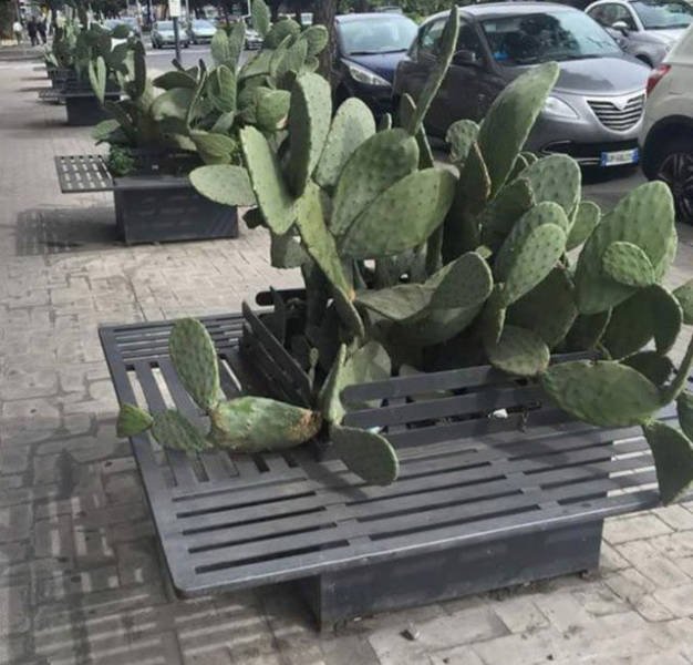 What Is Going On Here? (43 pics)